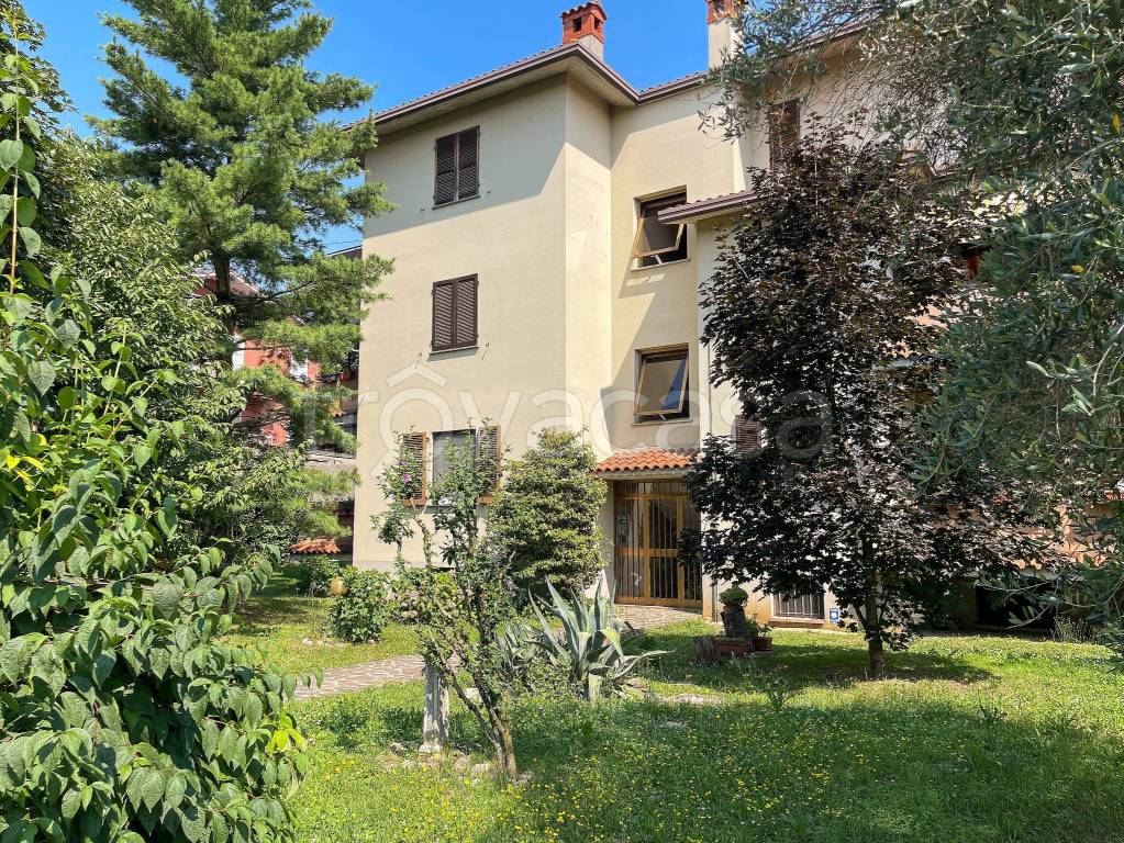 immagine annuncio 11 di 15