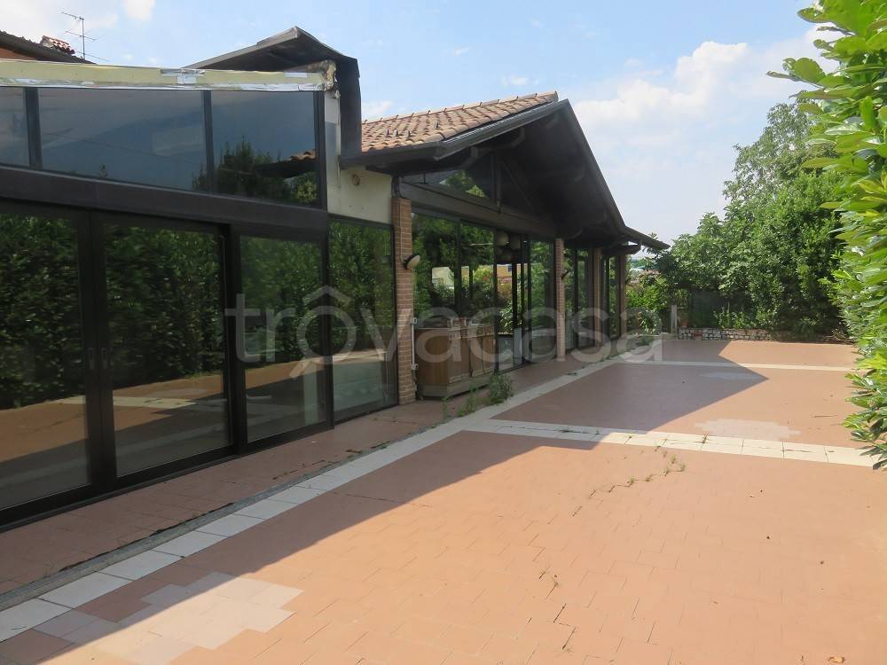 immagine annuncio 9 di 13