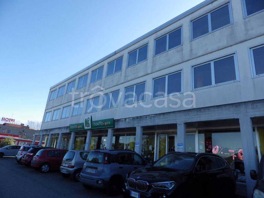 immagine annuncio 9 di 11