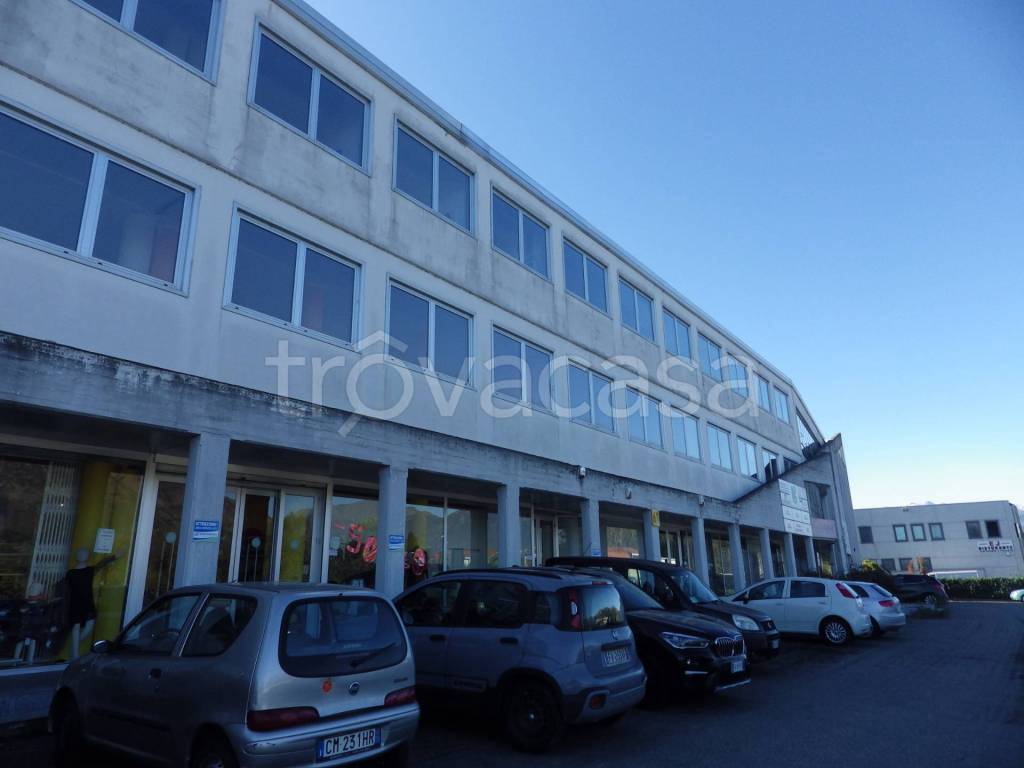 immagine annuncio 10 di 11