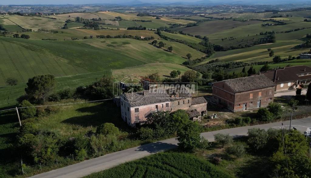 immagine annuncio 3 di 8