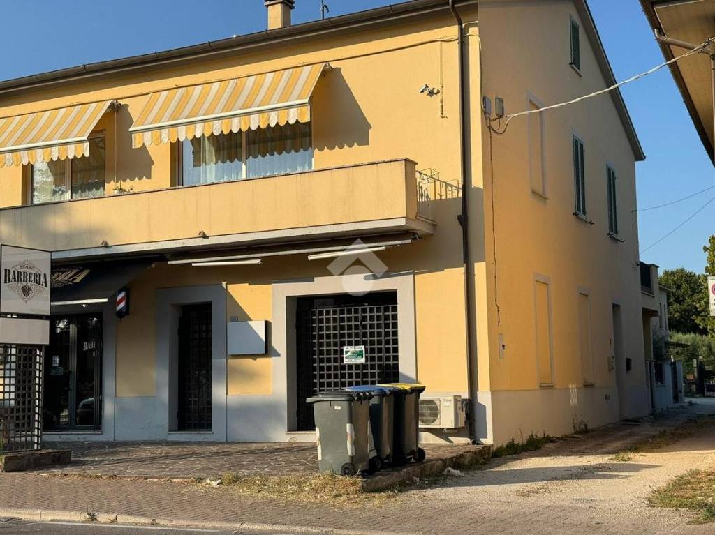 immagine annuncio 8 di 14