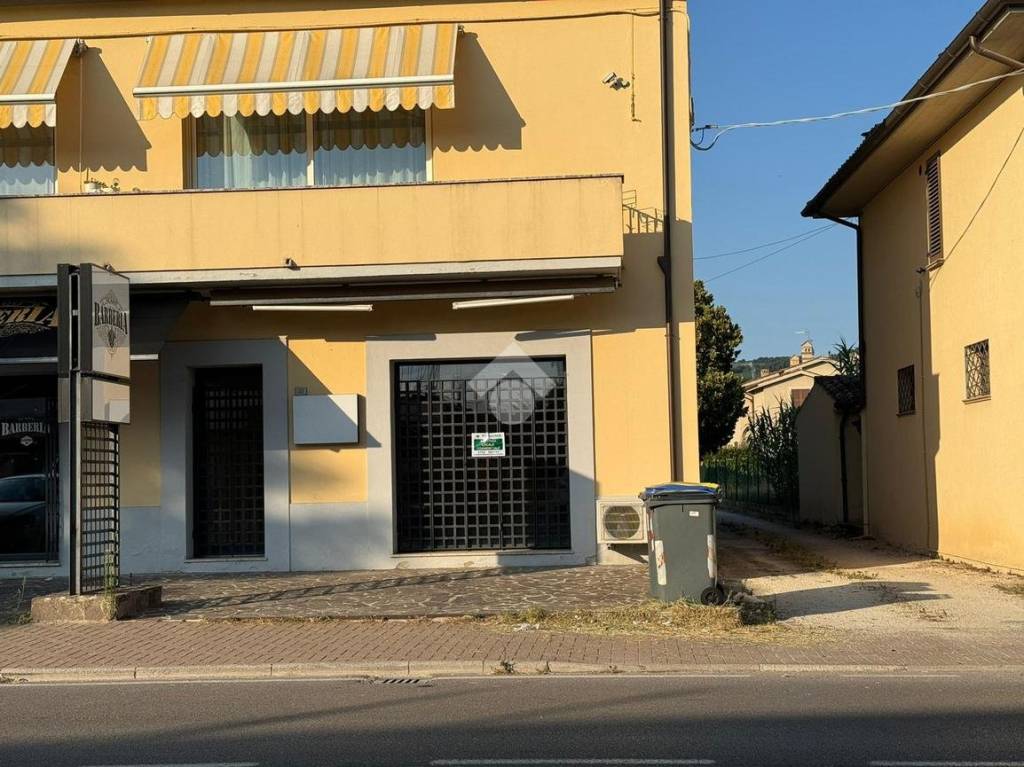immagine annuncio 10 di 14
