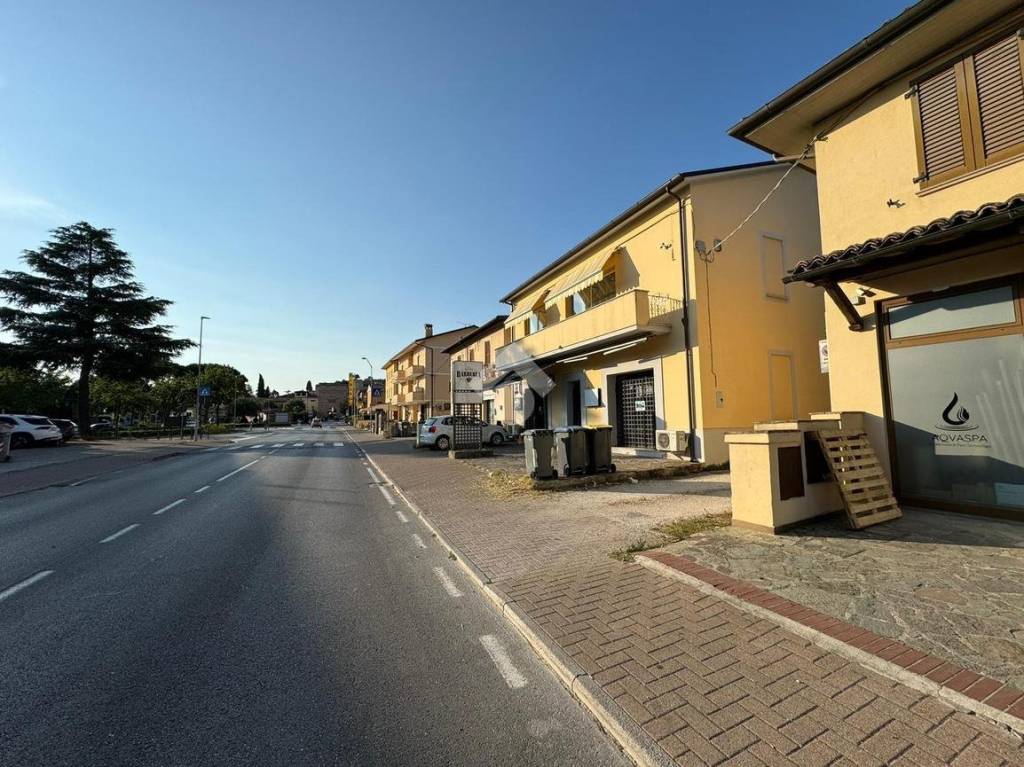 immagine annuncio 12 di 14