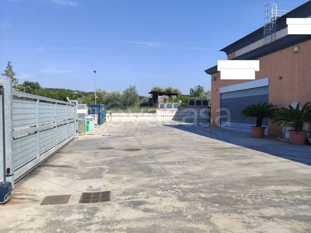 immagine annuncio 4 di 11