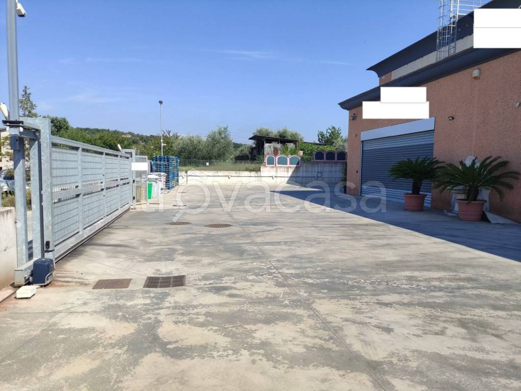 immagine annuncio 6 di 11