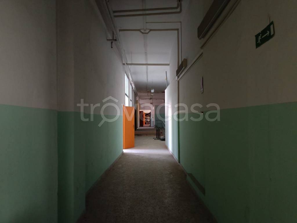immagine annuncio 4 di 8