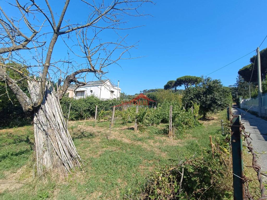 immagine annuncio 2 di 9