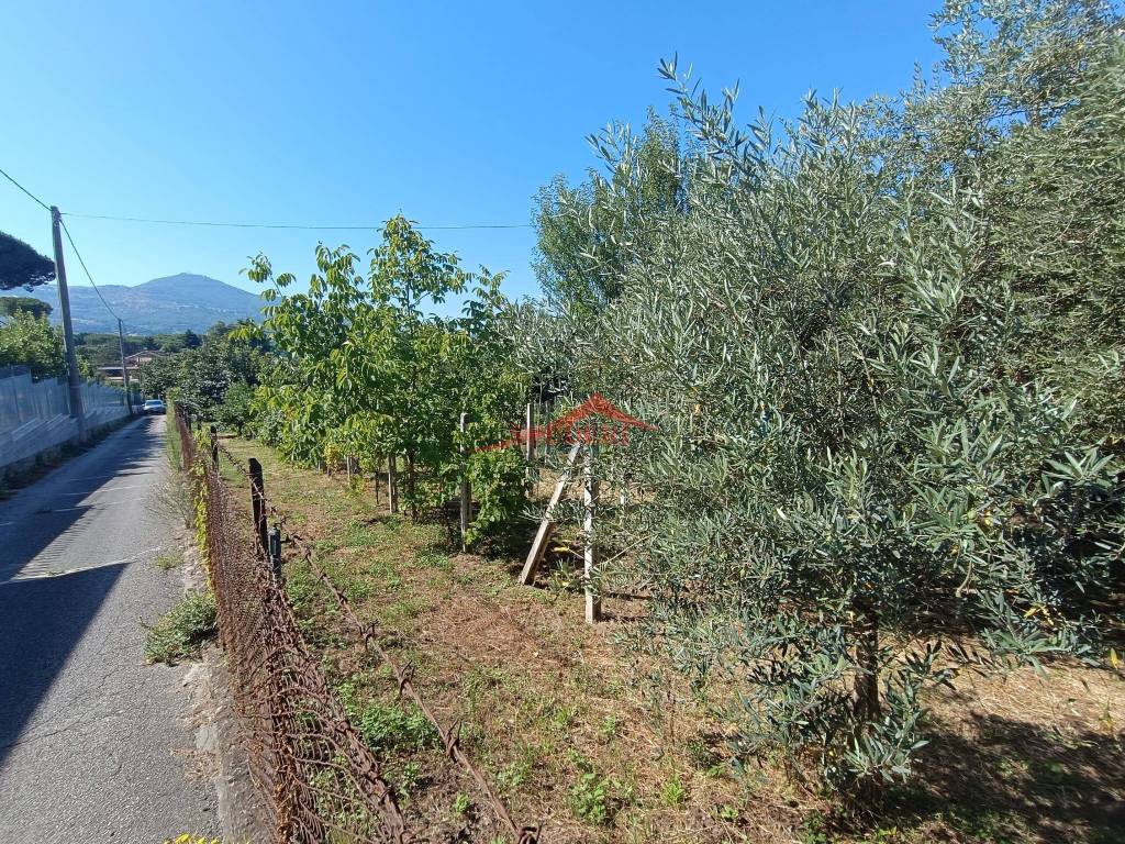 immagine annuncio 7 di 9