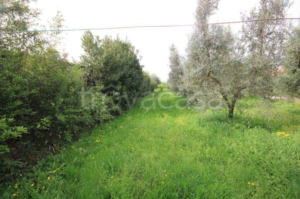 immagine annuncio 3 di 6