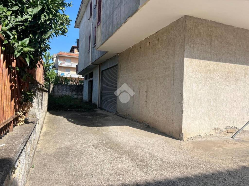 immagine annuncio 6 di 11