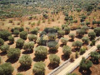 Terreno agricolo in vendita a conversano via castiglione