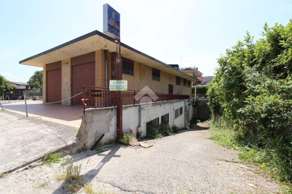 immagine annuncio 1 di 13