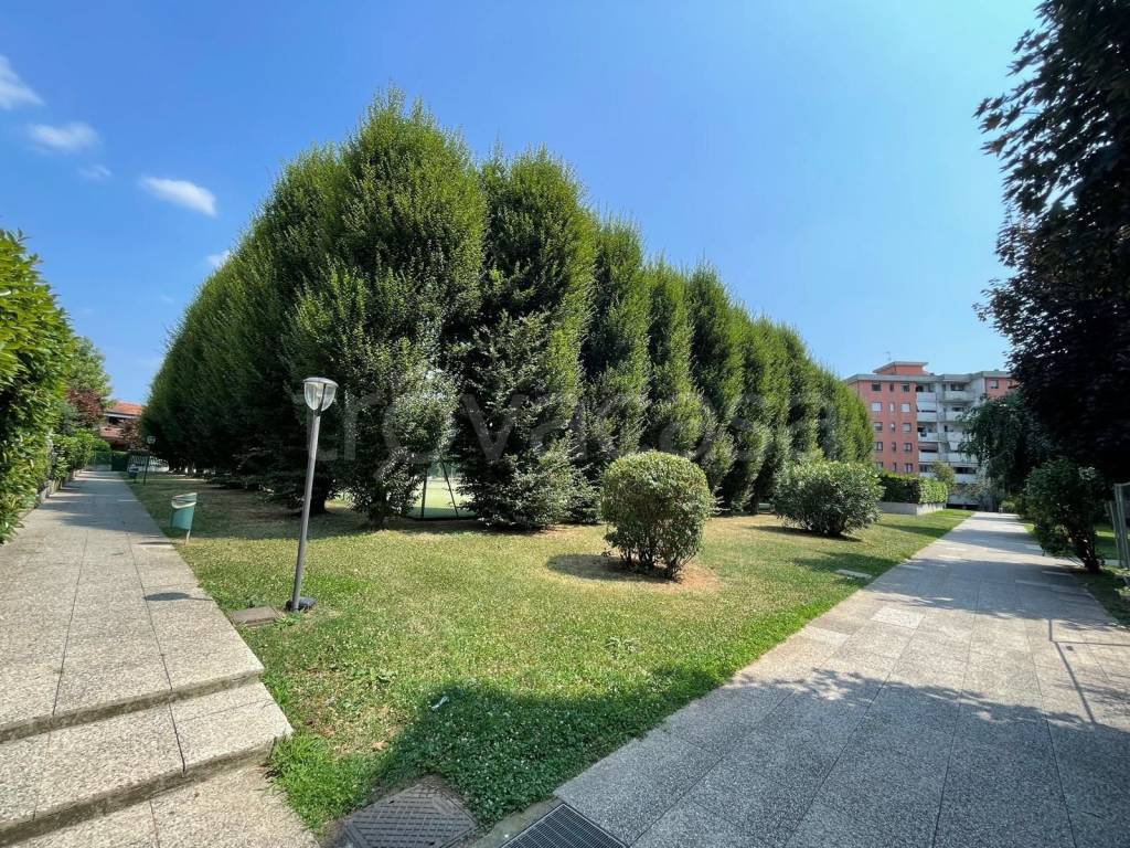immagine annuncio 5 di 14