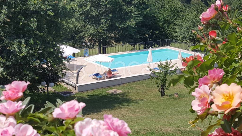 immagine annuncio 4 di 6