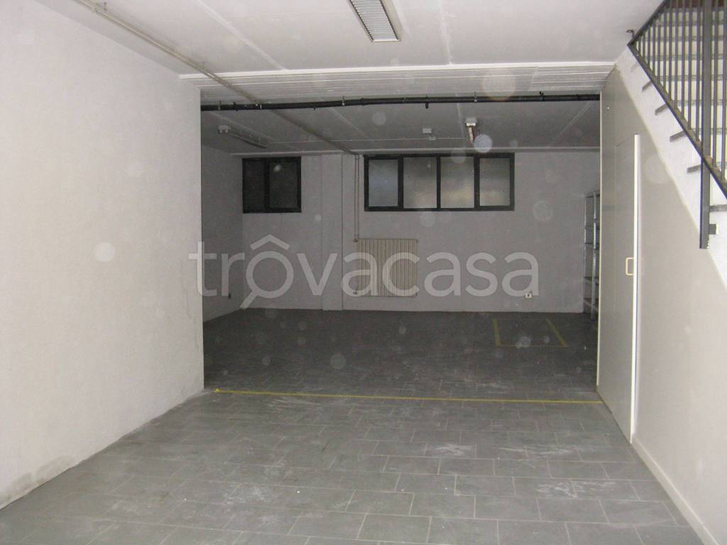 immagine annuncio 11 di 14