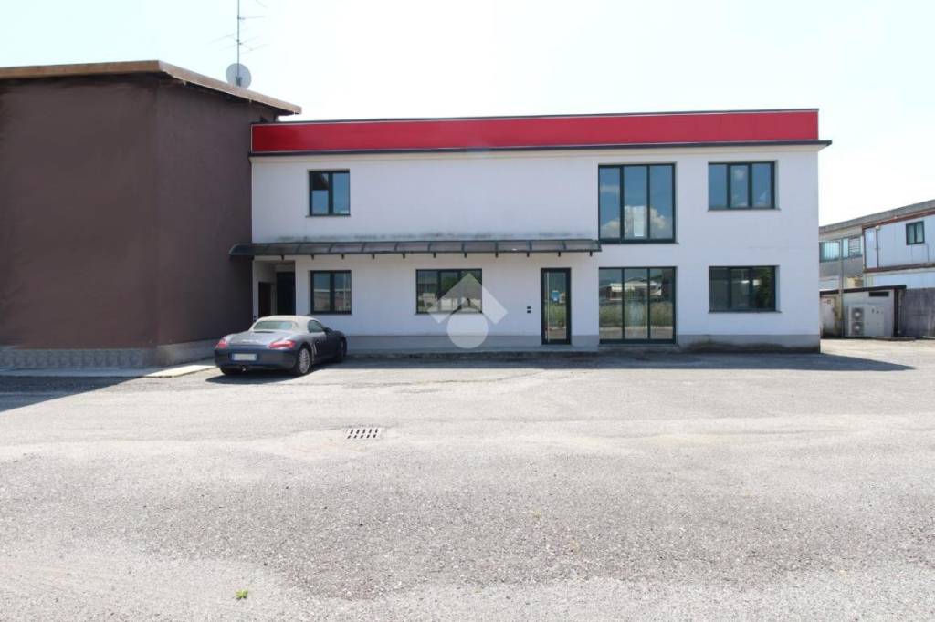 immagine annuncio 5 di 14