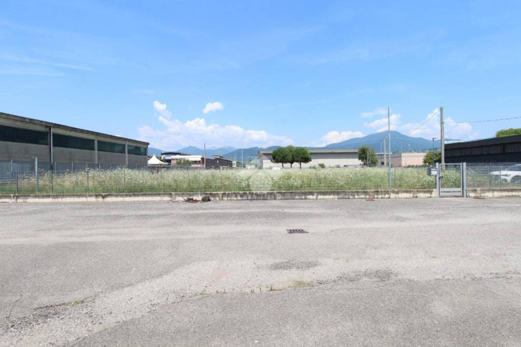 immagine annuncio 11 di 14