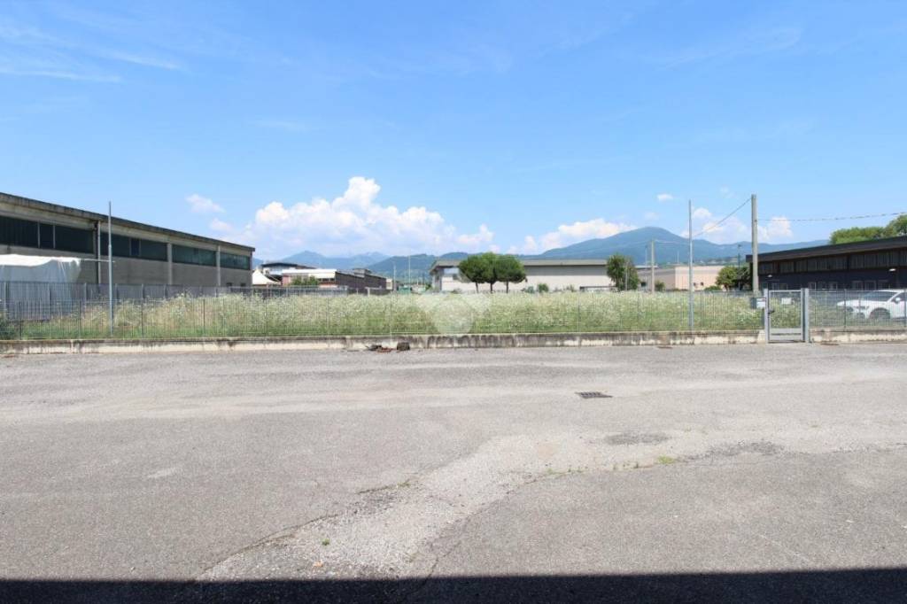 immagine annuncio 12 di 14