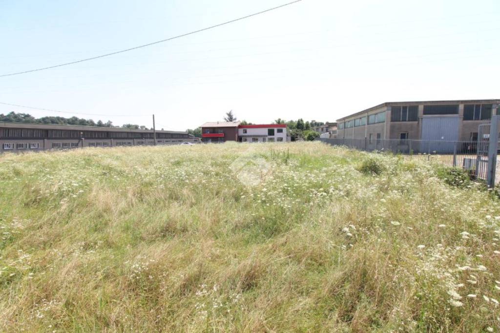 immagine annuncio 1 di 8