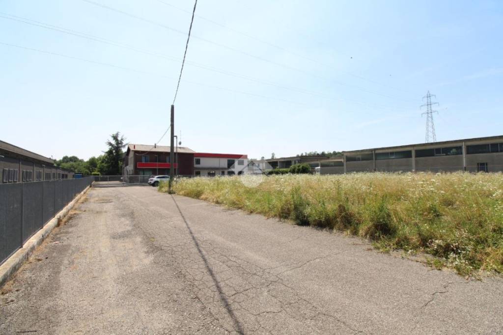 immagine annuncio 2 di 8