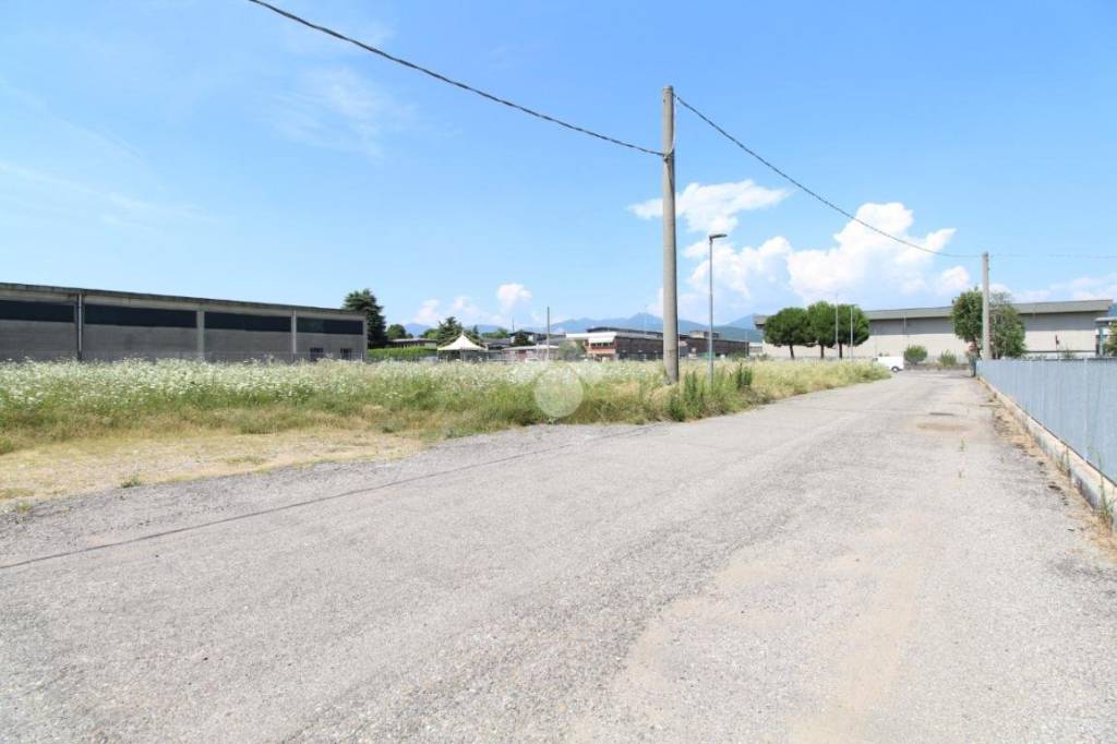 immagine annuncio 3 di 8