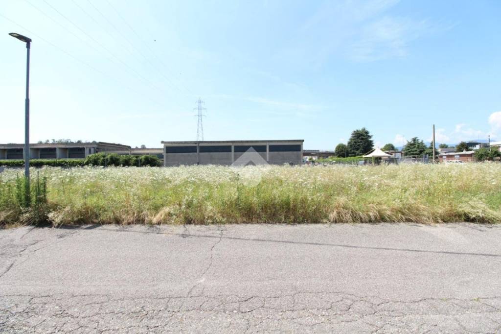 immagine annuncio 4 di 8