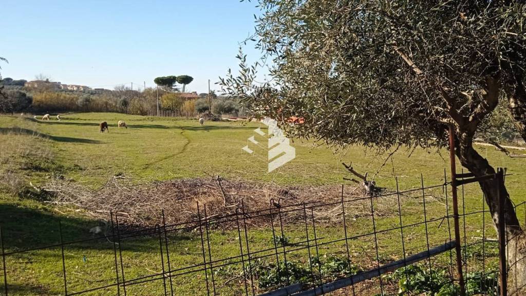 immagine annuncio 2 di 7
