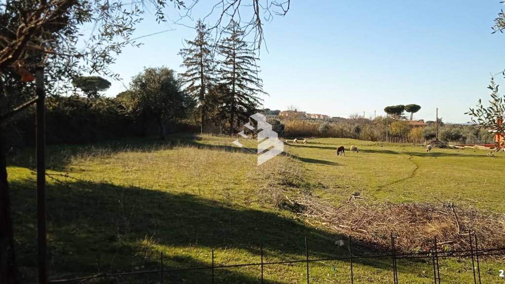 immagine annuncio 5 di 7