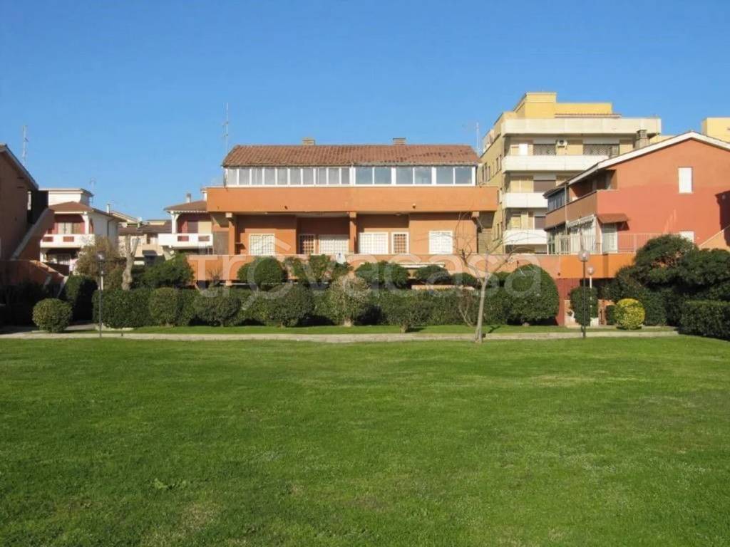 immagine annuncio 5 di 12