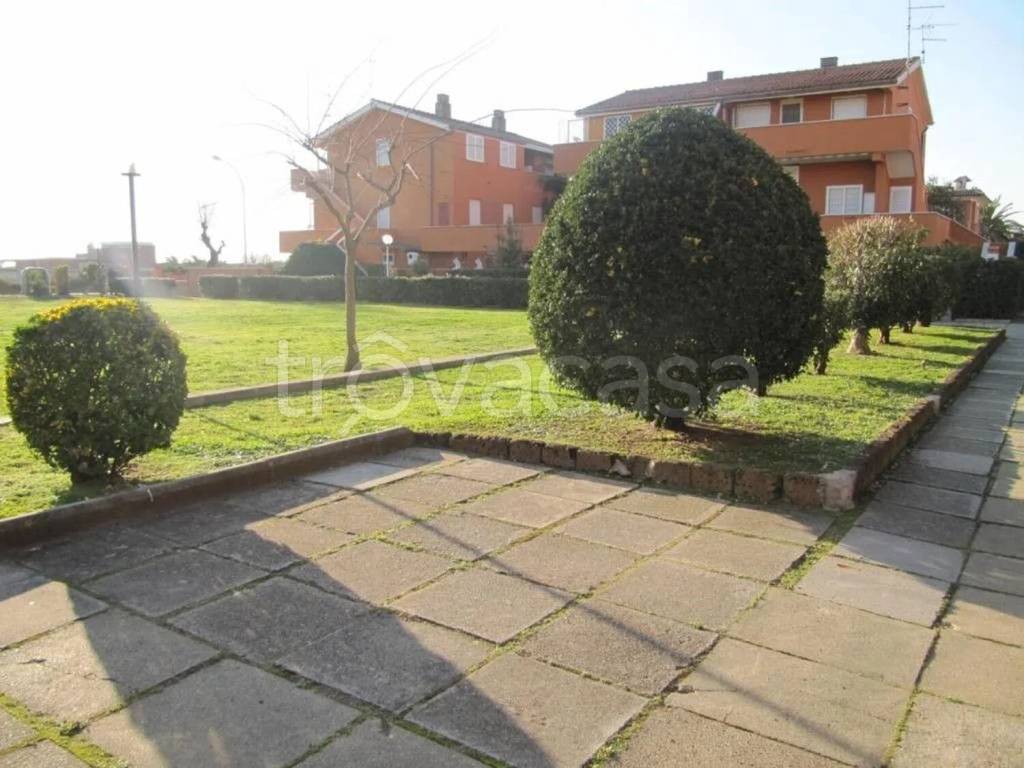 immagine annuncio 8 di 12