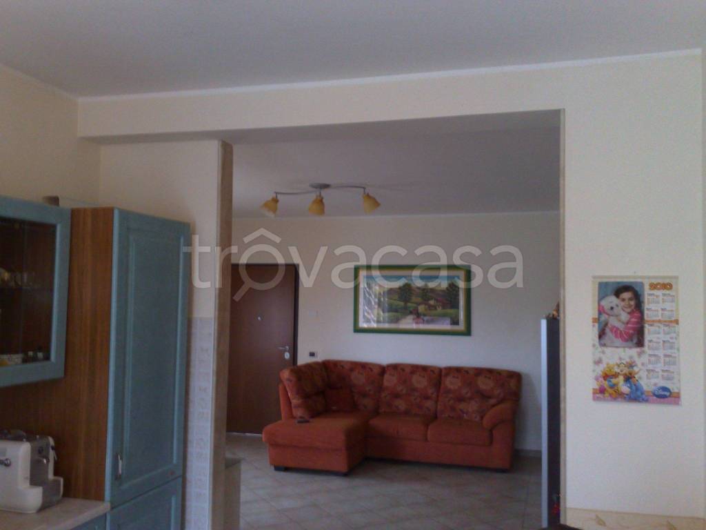 immagine annuncio 3 di 12