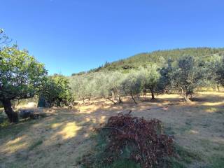 Terreno agricolo in vendita a prato via della chiesa di santa lucia, 52