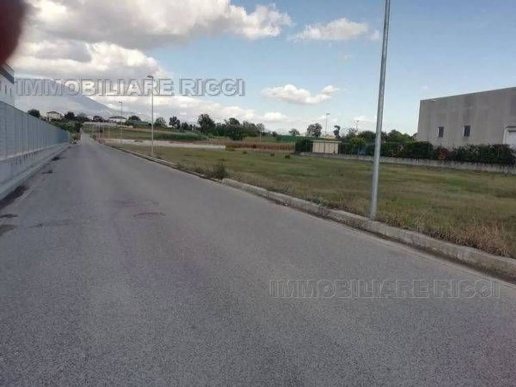 immagine annuncio 2 di 6