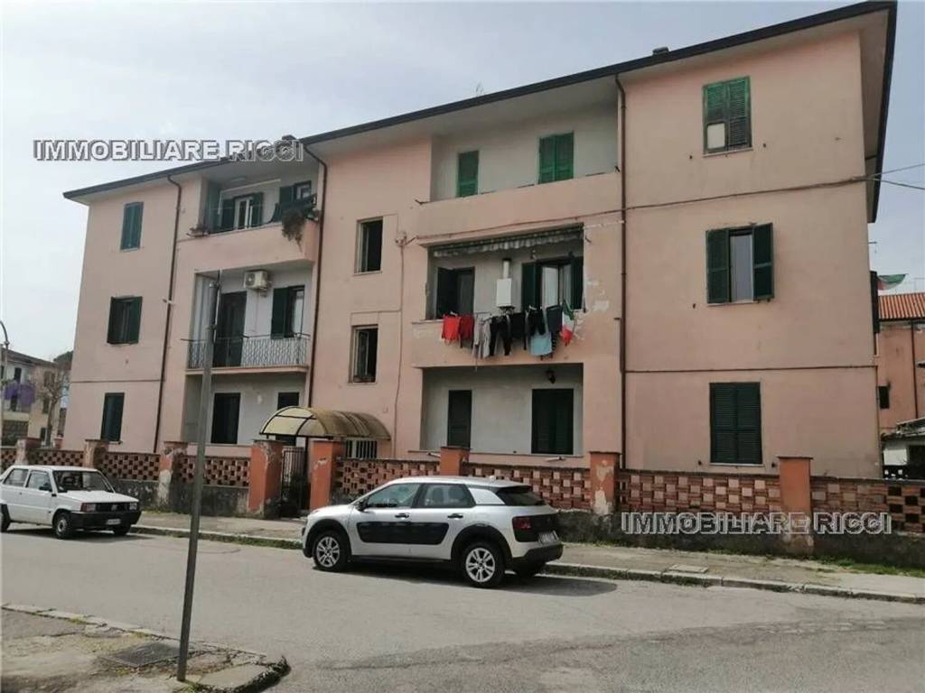immagine annuncio 1 di 13