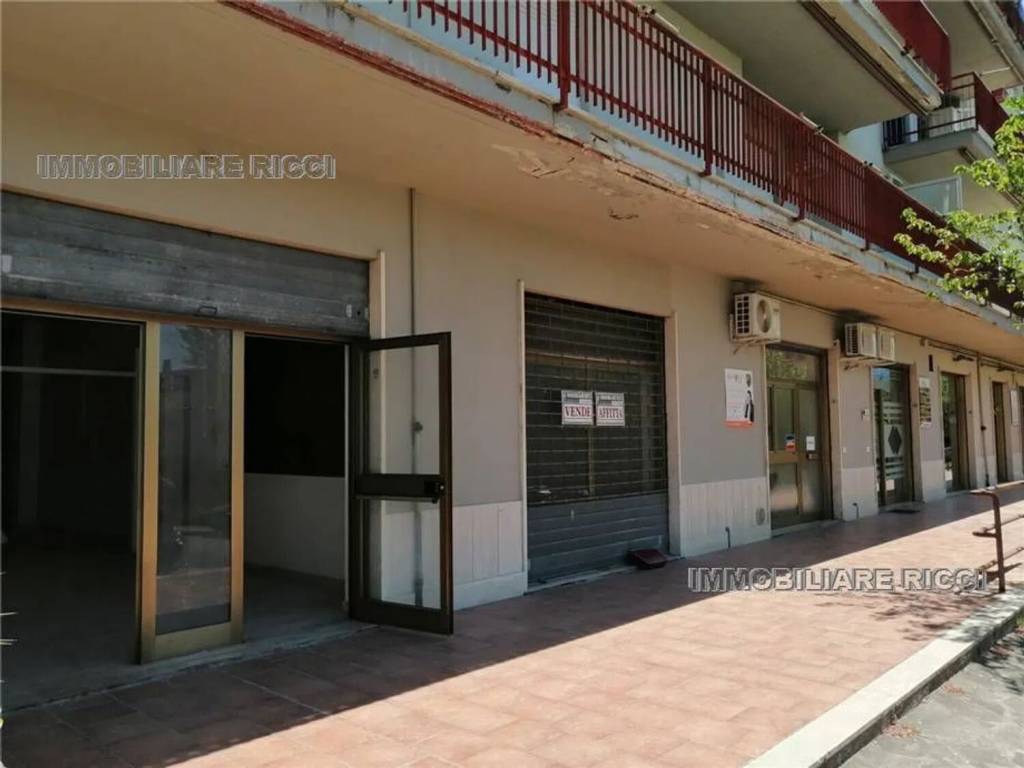 immagine annuncio 2 di 12