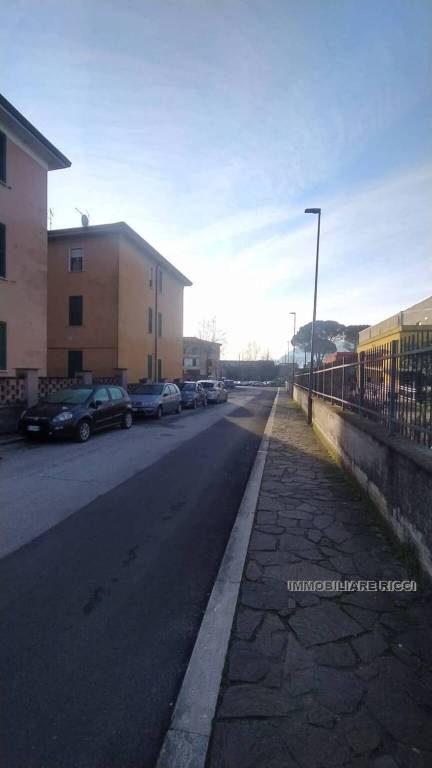 immagine annuncio 5 di 12