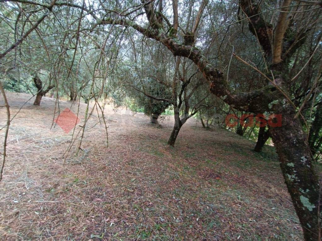 immagine annuncio 7 di 14