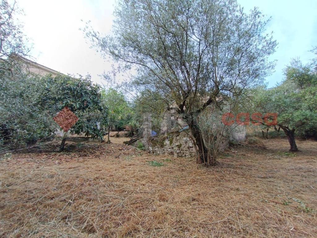 immagine annuncio 8 di 14