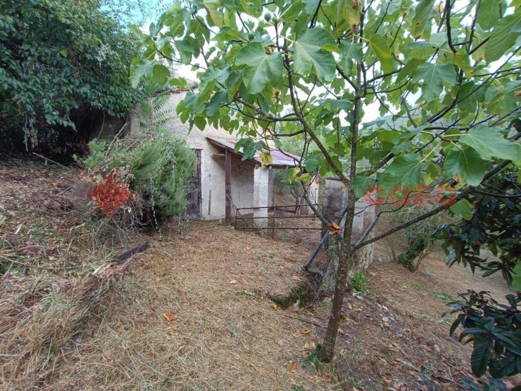 immagine annuncio 10 di 14