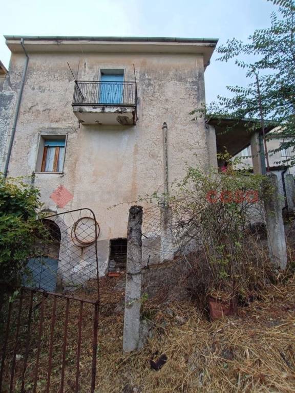 immagine annuncio 11 di 14