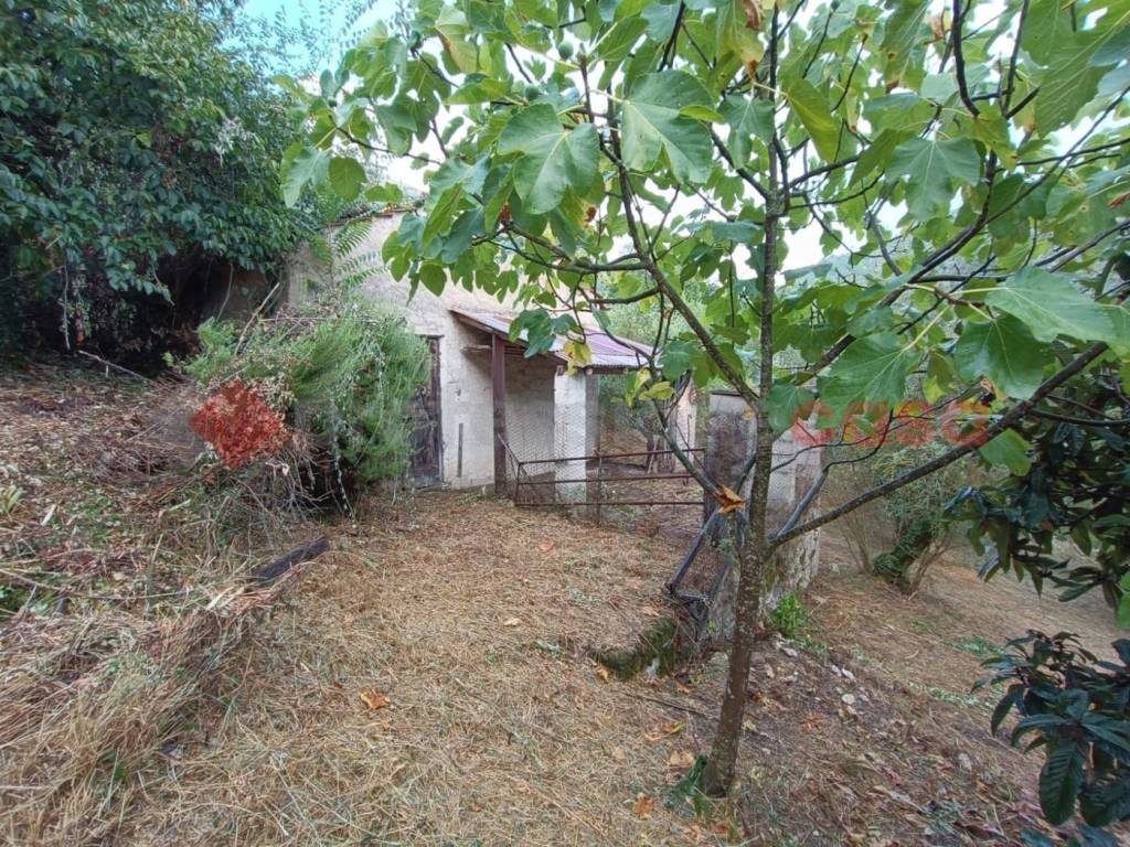 immagine annuncio 12 di 14