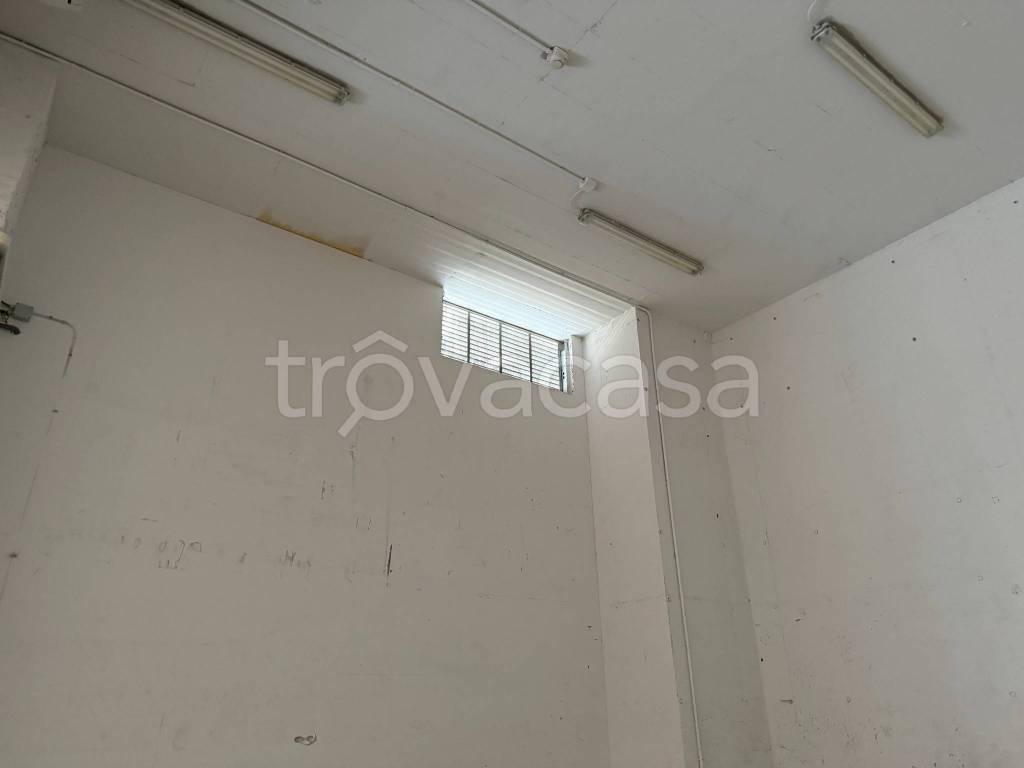 immagine annuncio 4 di 6