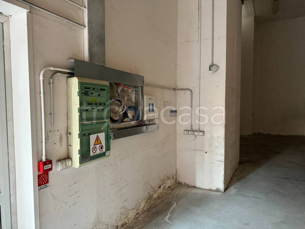 immagine annuncio 5 di 6