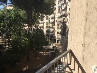 Appartamento in in vendita da privato a roma via virgilio talli