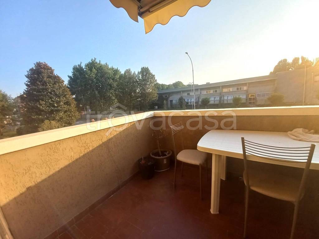 immagine annuncio 6 di 15
