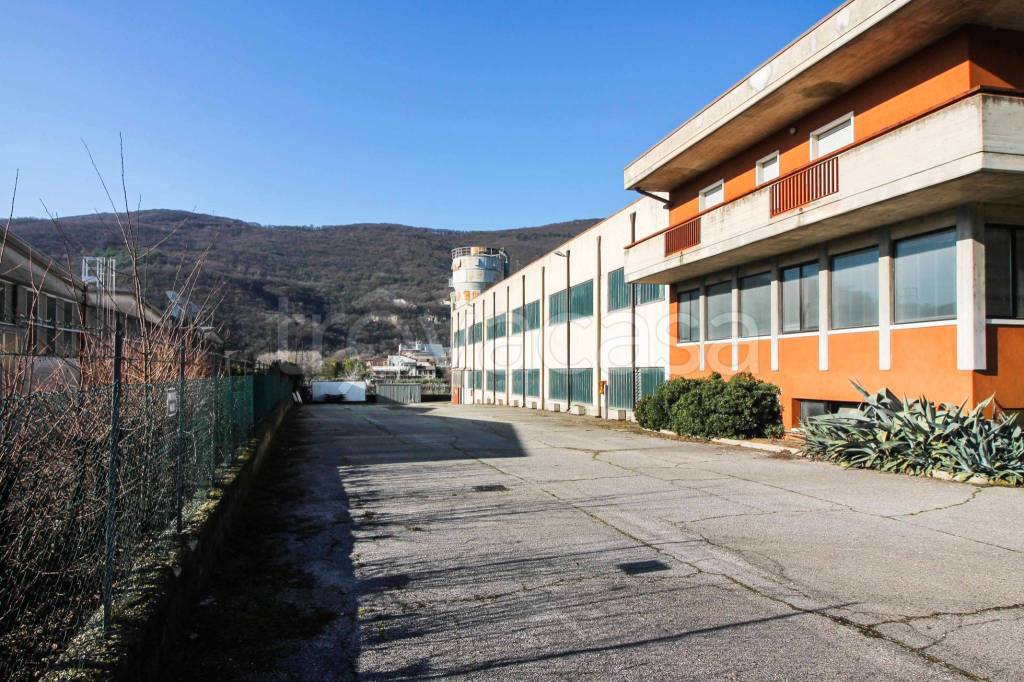 immagine annuncio 4 di 8
