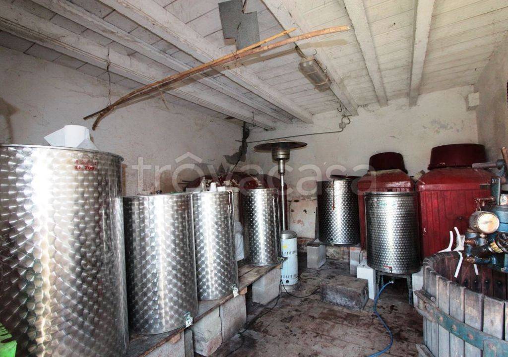 immagine annuncio 11 di 14