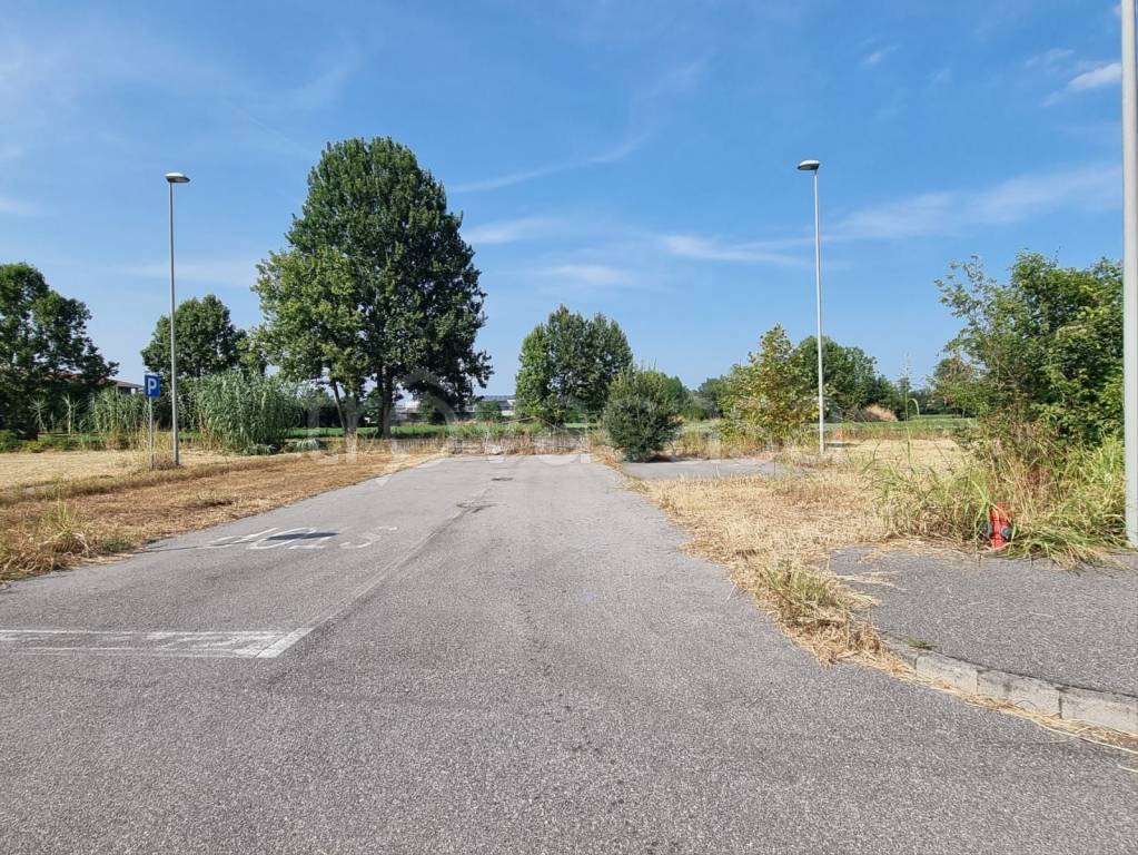 immagine annuncio 2 di 6
