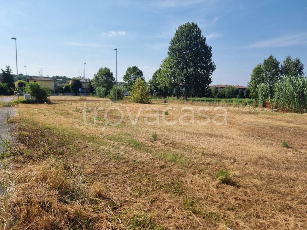 immagine annuncio 3 di 6